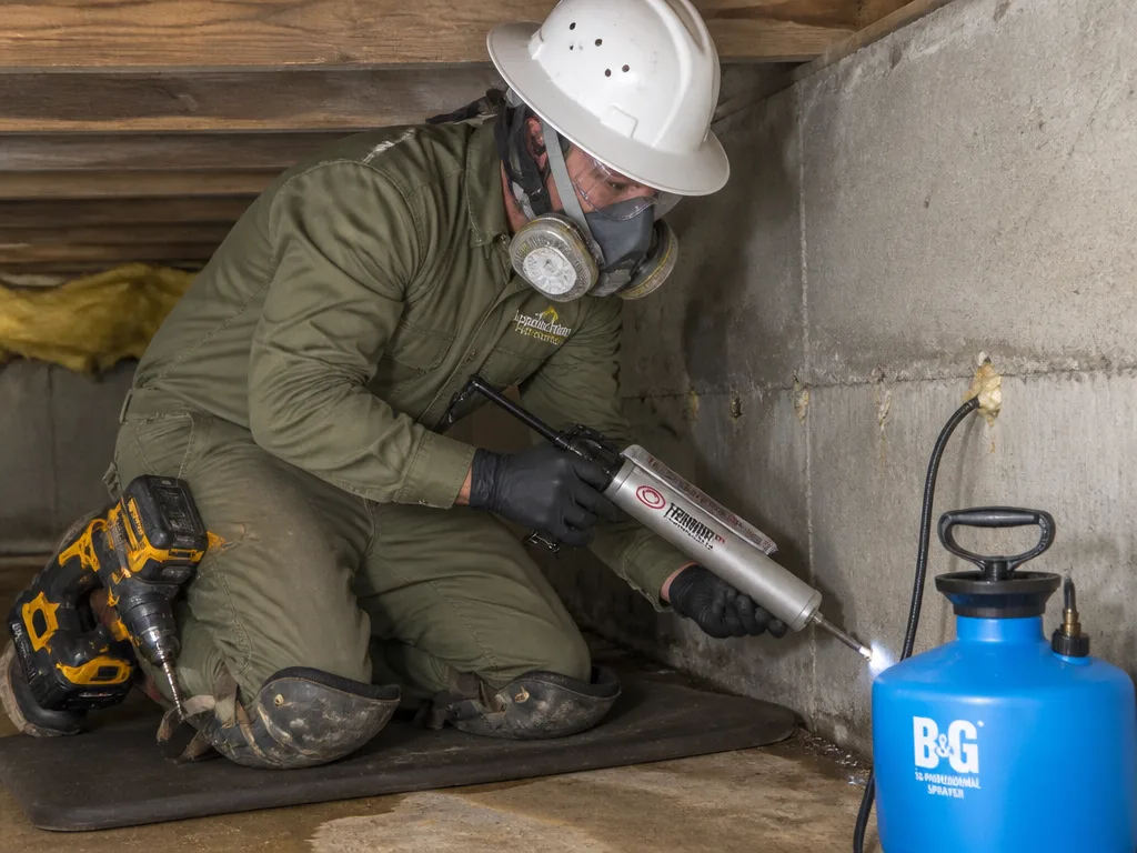 Termite Treatment